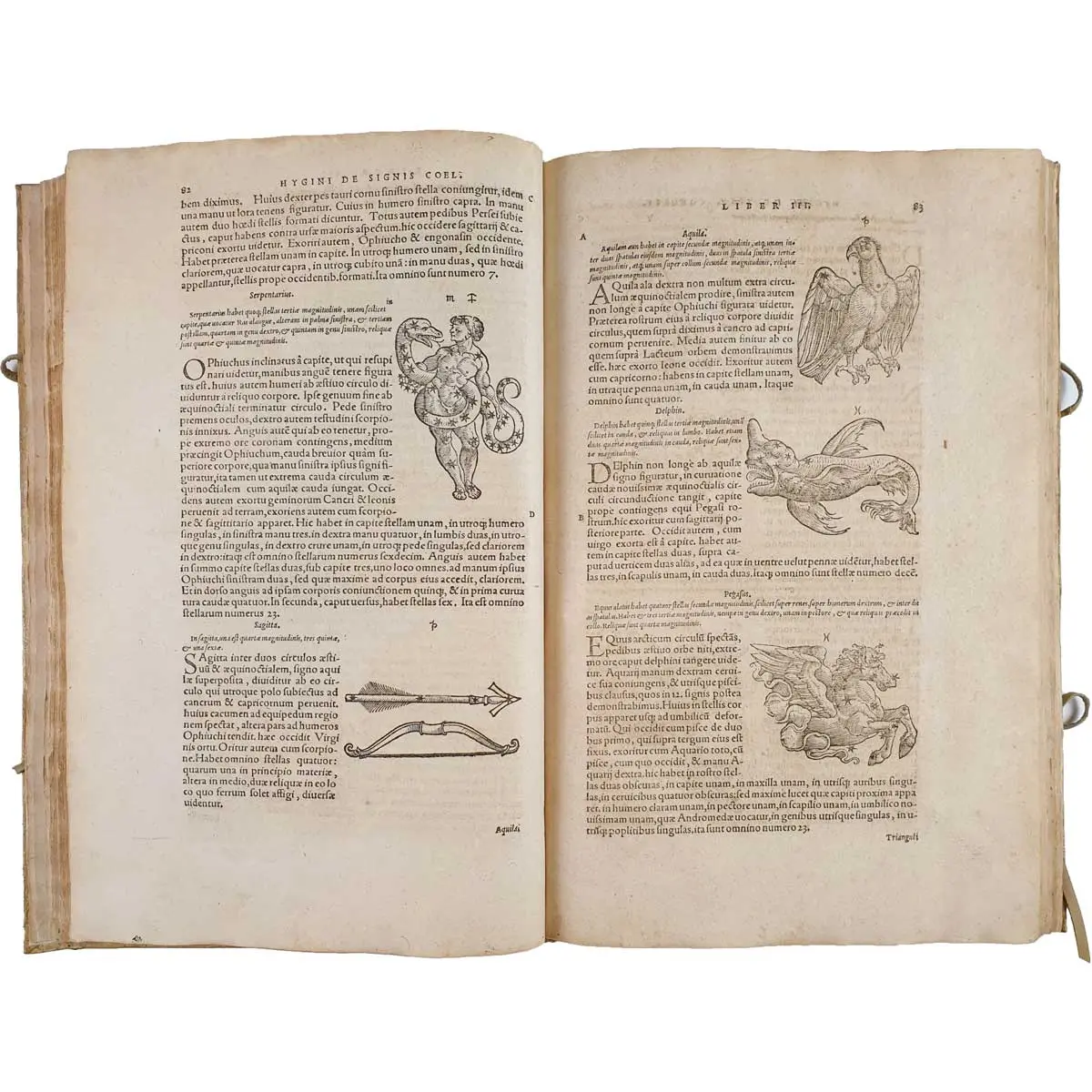 Fabularum liber, ad omnium poetarum lectionem mire necessarius, & nunc denuo excusus. Eiusdem poeticon astronomicon libri IV. Quibus accesserunt similis argumenti, Palaephati (2)