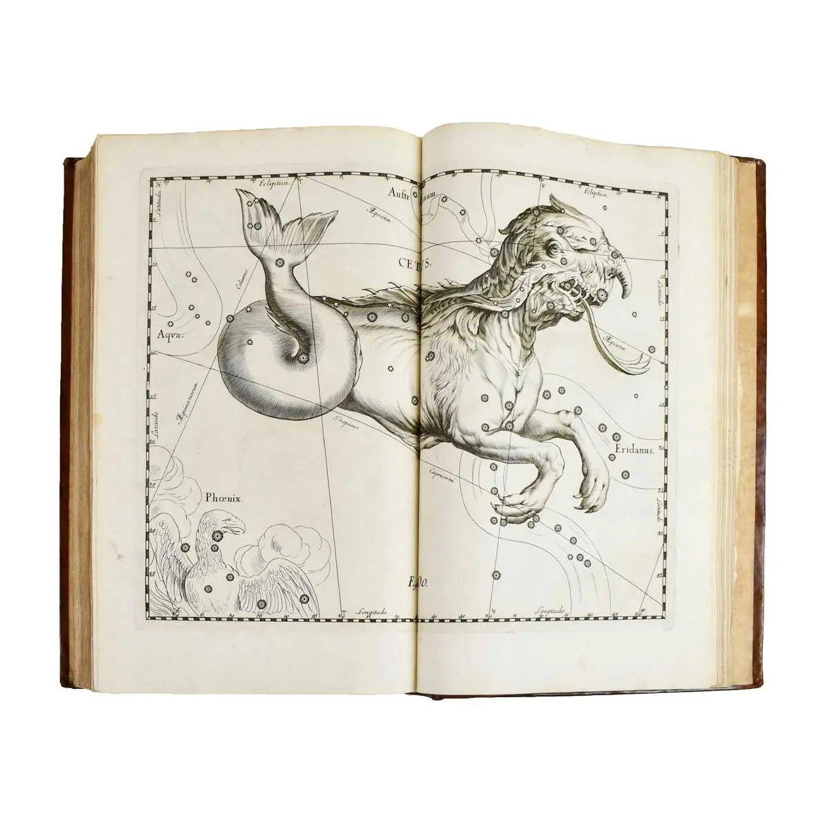 Prodromus Astronomiae, exhibens fundamenta, quae tam ad novum plane & correctiorem stellarum fixarum catalogum construendum.