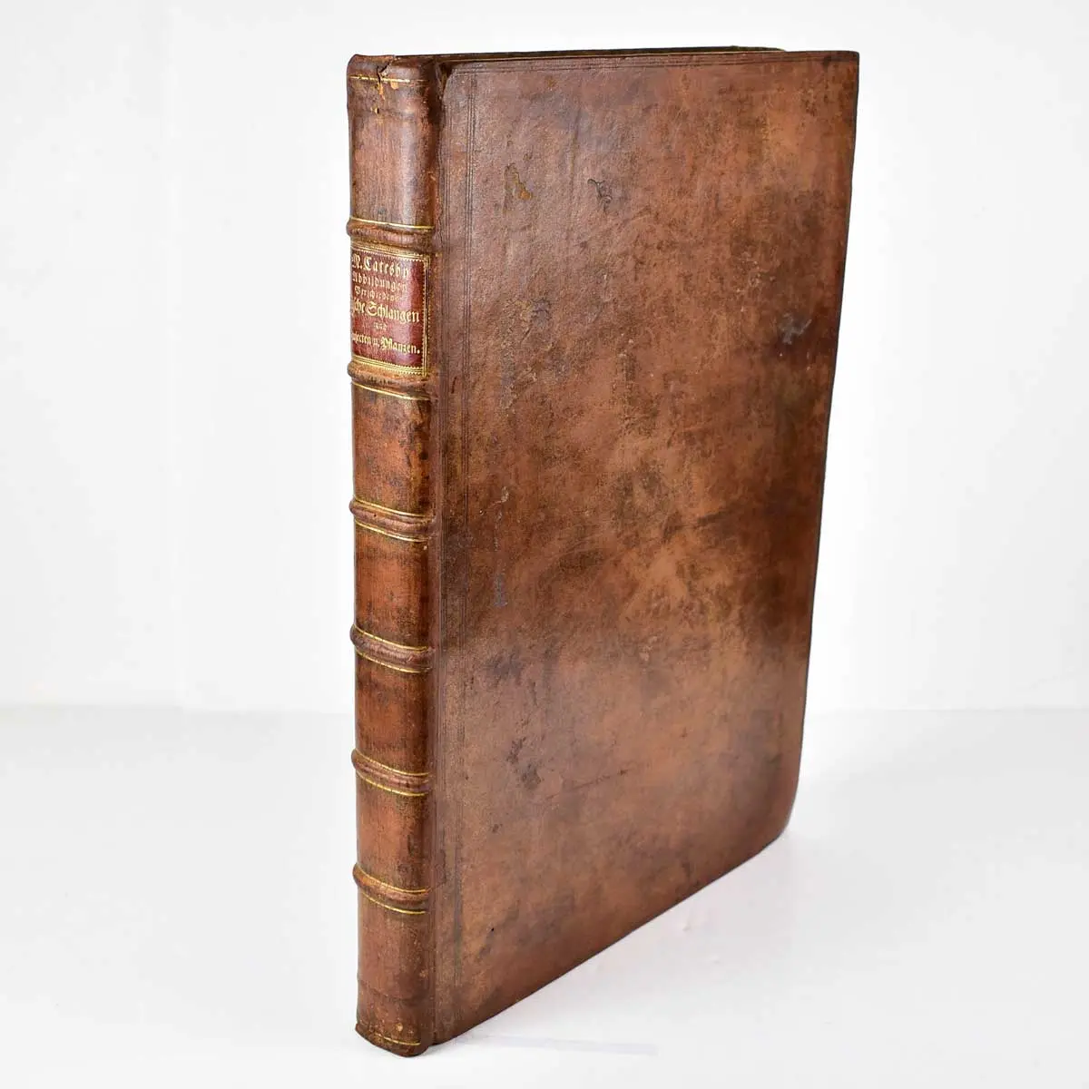 Piscium Serpentum Insectorum aliorumque nonnullorum animalium nec non plantarum quarundam imagines quas Marcus Catesby in posteriore parte splendidi illius operis quo Carolinae Floridae et (2)