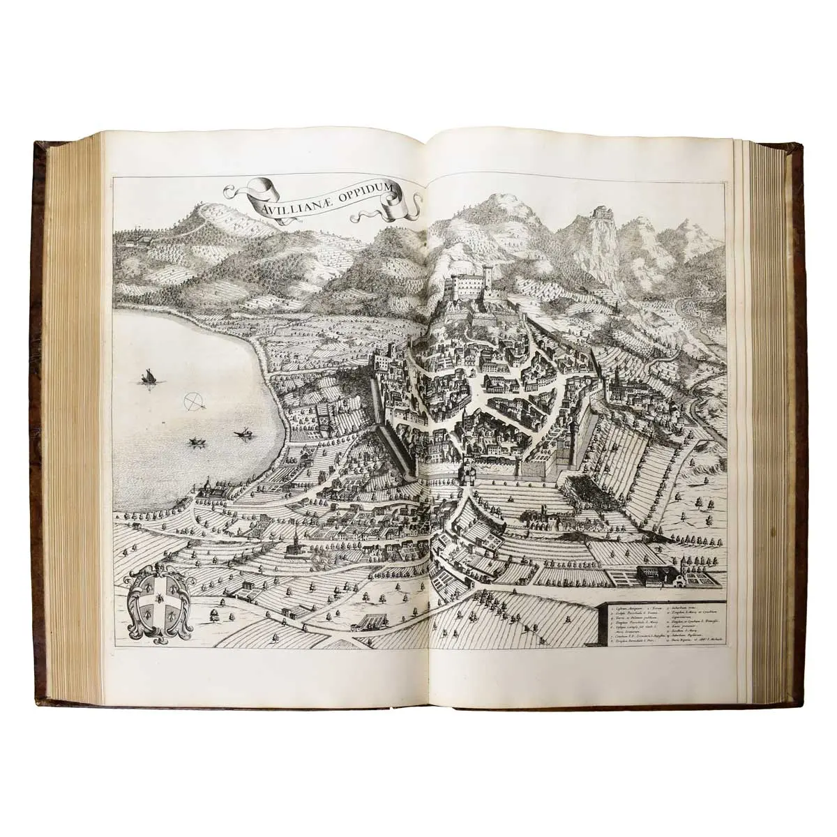 Theatre des états de son Altesse Royale le Duc de Savoye. Tome I: Contenant le Piémont, la ville de Turin, et les lieux voisin. Tome II: Contenant la Savoye. Traduit du Latin en François.
