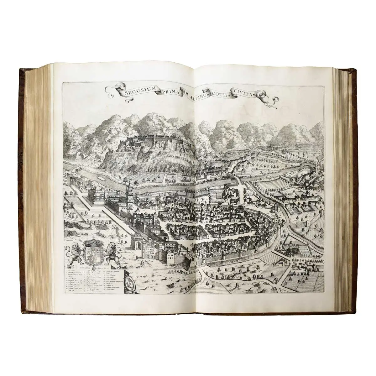 Theatre des états de son Altesse Royale le Duc de Savoye. Tome I: Contenant le Piémont, la ville de Turin, et les lieux voisin. Tome II: Contenant la Savoye. Traduit du Latin en François (4)