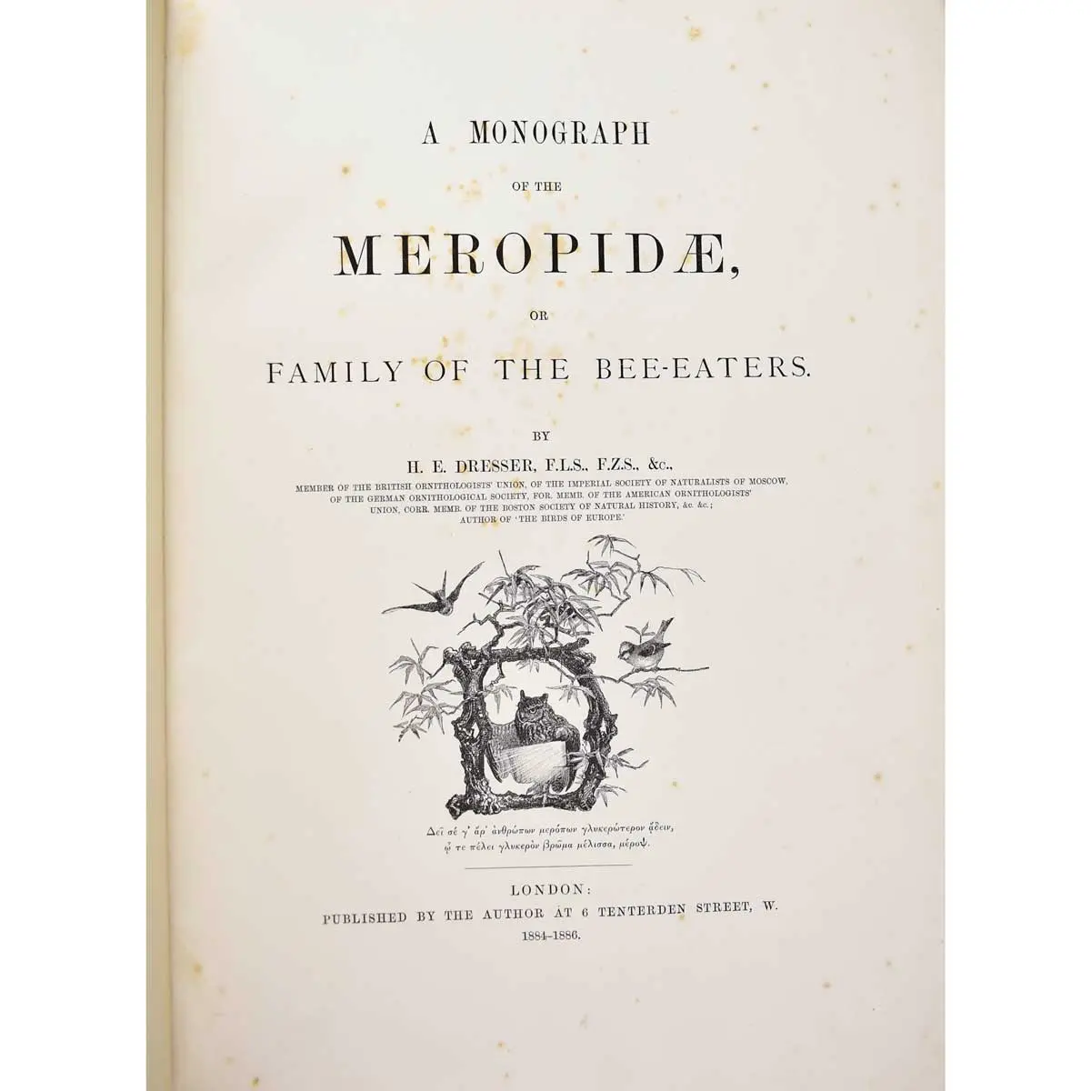 A Monograph of the Meropidae, or Family of the Bee-Eaters (3)