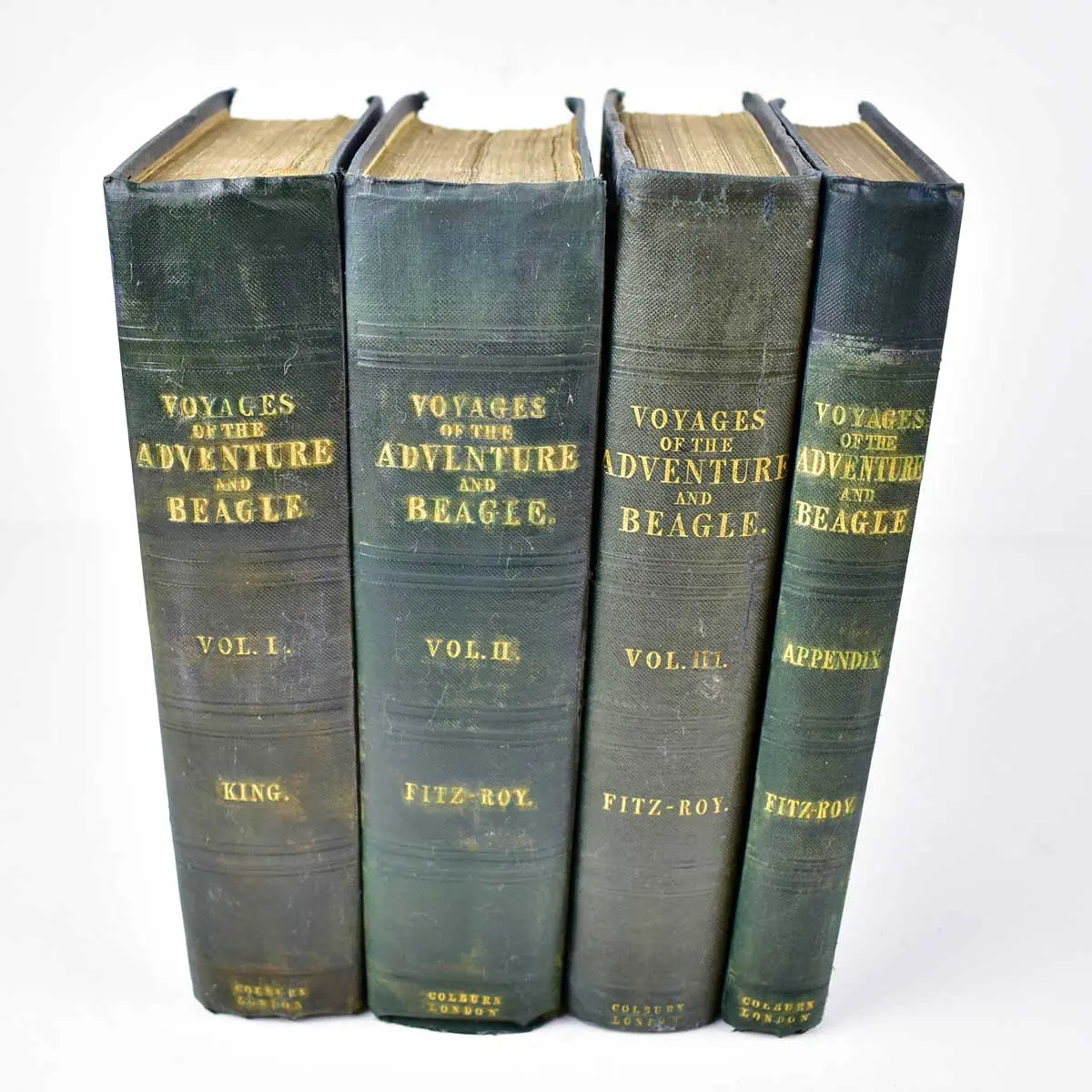 Narrative of the Surveying Voyages of His Majesty’s Ships Adventure and Beagle, between the Years 1826 and 1836, describing their Examination of the Southern Shores of South America (5)