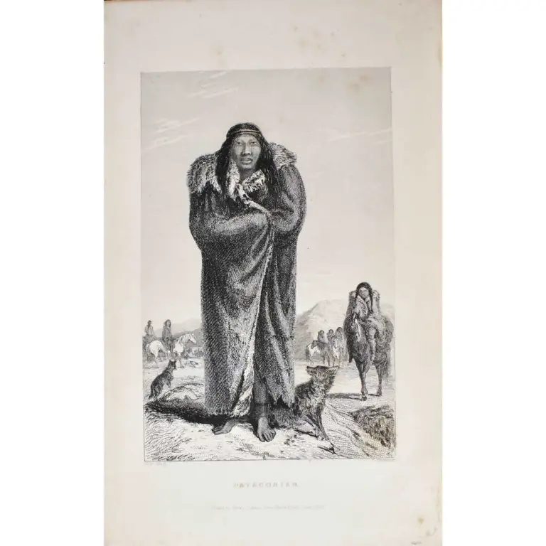 Narrative of the Surveying Voyages of His Majesty’s Ships Adventure and Beagle, between the Years 1826 and 1836, describing their Examination of the Southern Shores of South America
