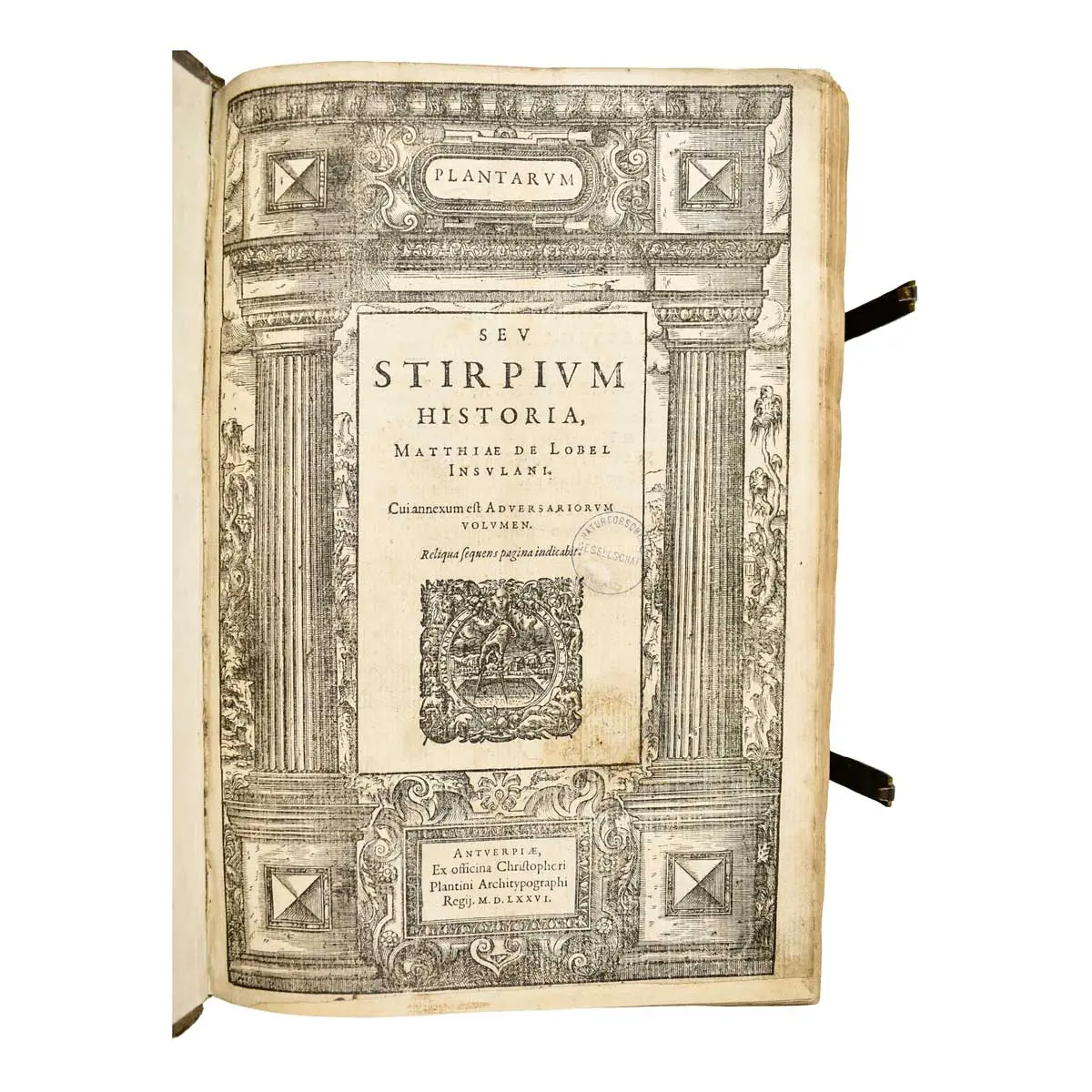Plantarum seu Stirpium Historia [Bound with]: PENA, PIERRE and MATTHIAS DE LOBEL. Nova stirpium adversaria.  (3)