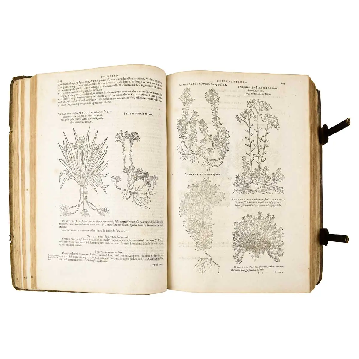 Plantarum seu Stirpium Historia [Bound with]: PENA, PIERRE and MATTHIAS DE LOBEL. Nova stirpium adversaria. 