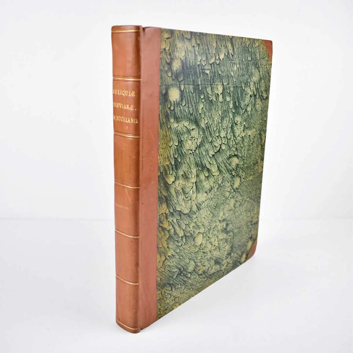 Reliquiae Diluvianae; or, Observations on the Organic Remains Contained in Caves, Fissures, and Diluvial Gravel and on Other Geological Phenomena, Attesting the Action of an Universal Deluge (5)