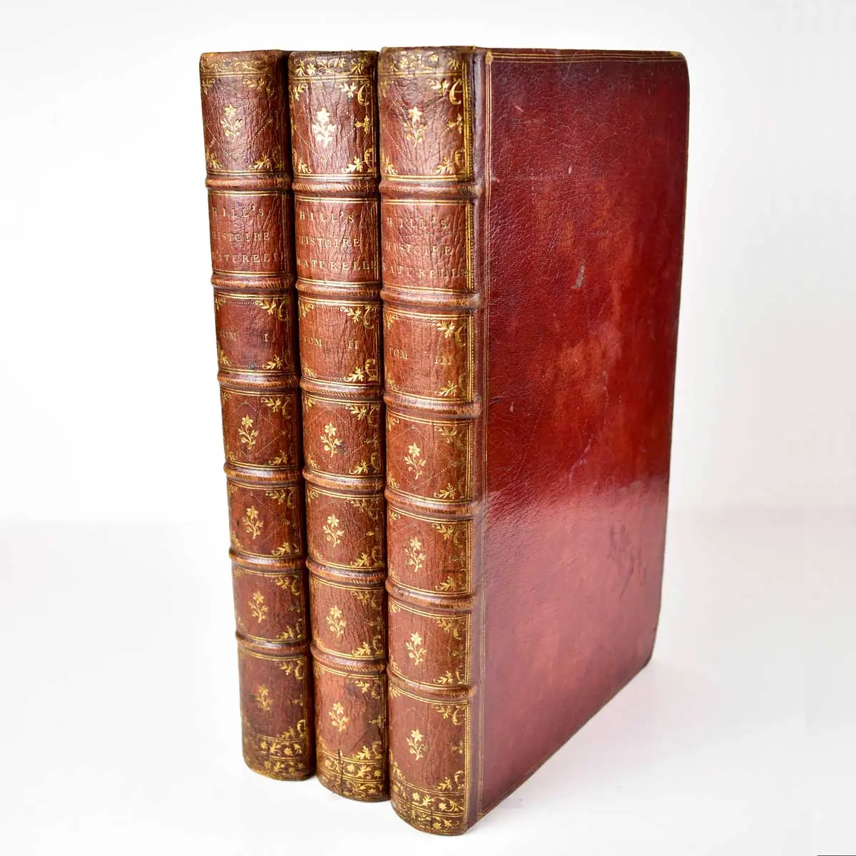 A General Natural History:or,New and Accurate Descriptions of the Animals,Vegetables,and Minerals,of the Different Parts of the World;with Their Virtues and Uses,as far as hitherto certainly k