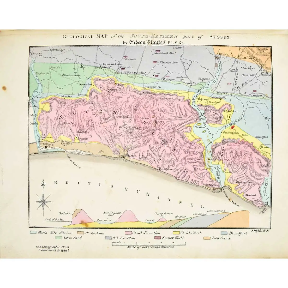 The Fossils of the South Downs; or, Illustrations of the Geology of Sussex (3)