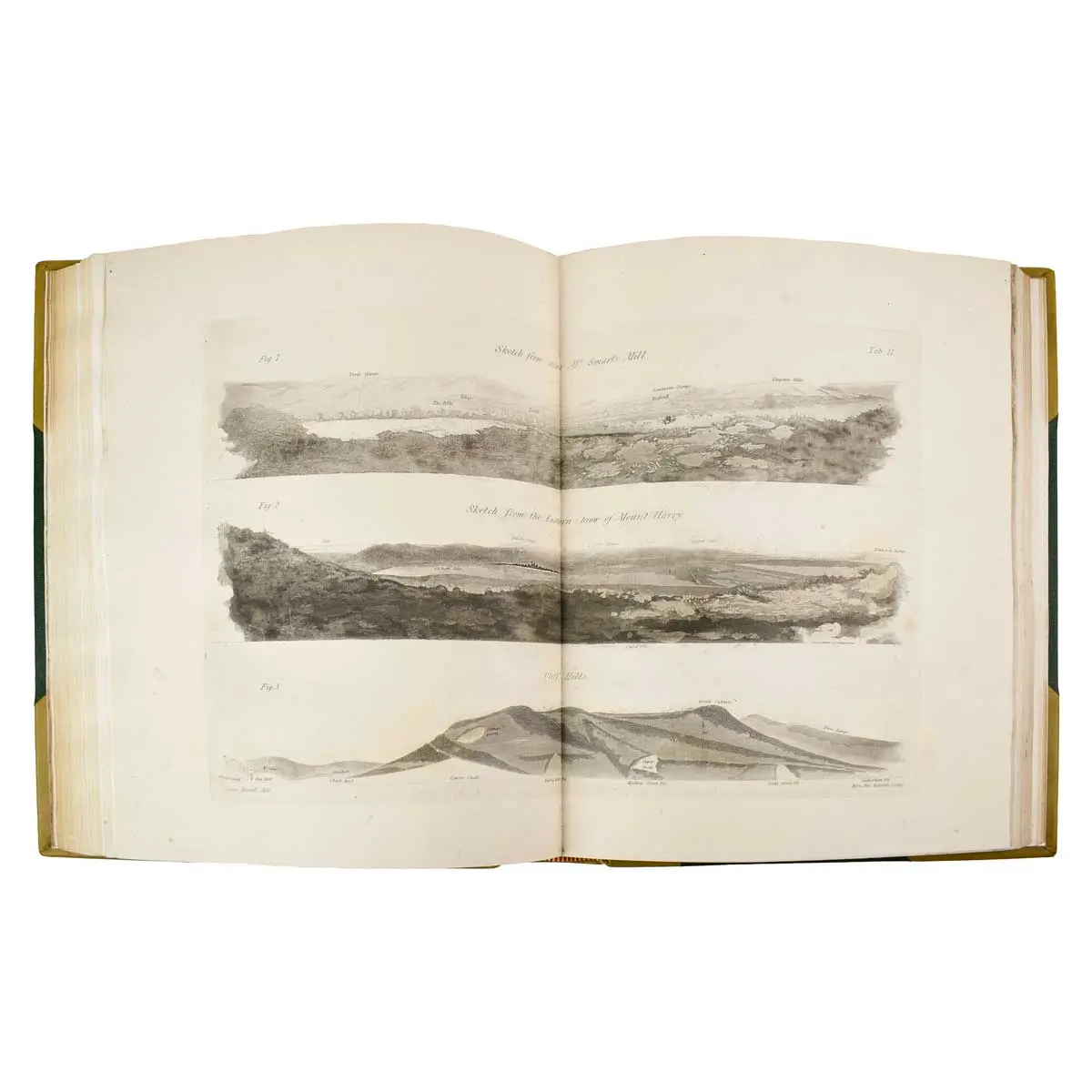 The Fossils of the South Downs; or, Illustrations of the Geology of Sussex (4)