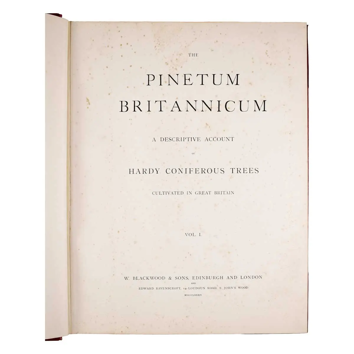 The Pinetum Britannicum. A descriptive account of Hardy Coniferous Trees, cultivated in Great Britain (8)
