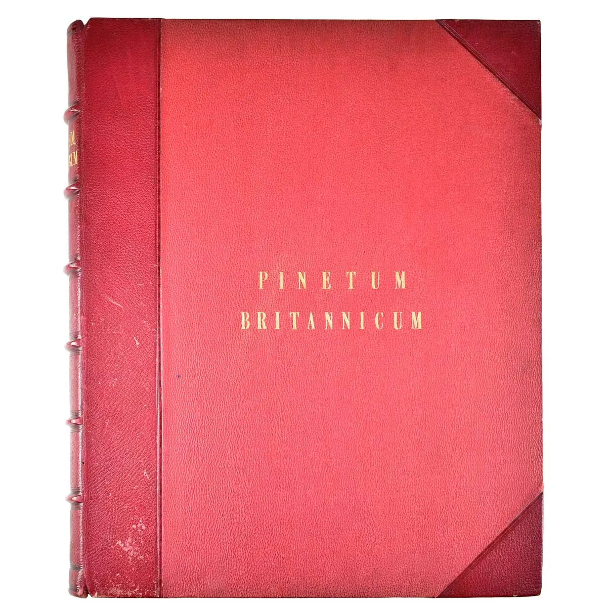 The Pinetum Britannicum. A descriptive account of Hardy Coniferous Trees, cultivated in Great Britain (2)