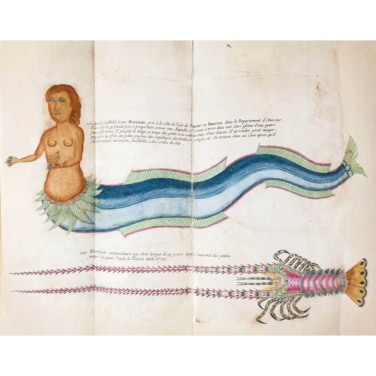 Poissons, Ecrevisses et Crabes, de diverses couleurs et figures extraordinaires, que l'on trouve autour des Isles Moluques, et sur les côtes des Terres Australes.