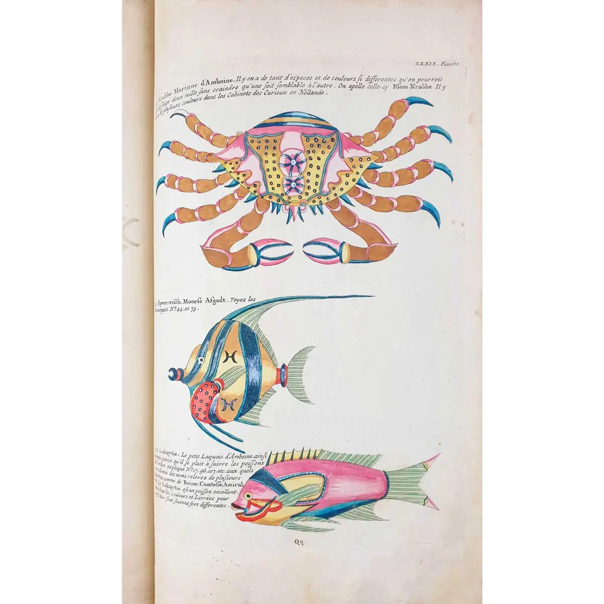 Poissons, Ecrevisses et Crabes, de diverses couleurs et figures extraordinaires, que l’on trouve autour des Isles Moluques, et sur les côtes des Terres Australes (4)