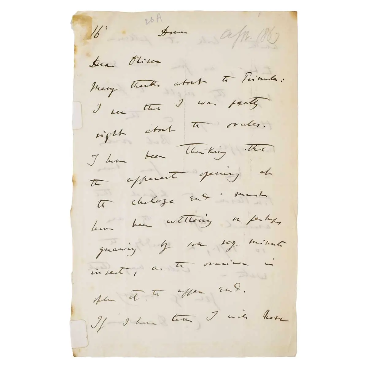 Important Autograph Letter Signed, to Daniel Oliver at Kew Concerning Ovules in Primula.