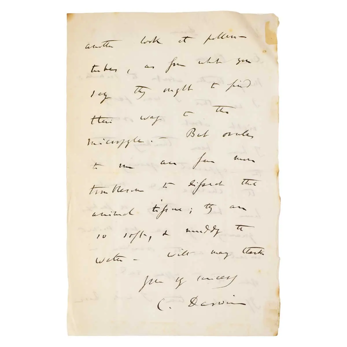 Important Autograph Letter Signed, to Daniel Oliver at Kew Concerning Ovules in Primula (2)