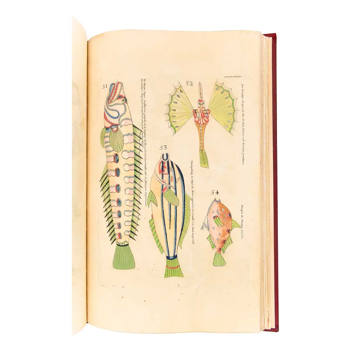 Poissons, Ecrevisses et Crabes de diverses couleurs et figures extraordinaires, que l’on trouve autour des Isles Moluques, et sur les côtes des Terres Australes (4)