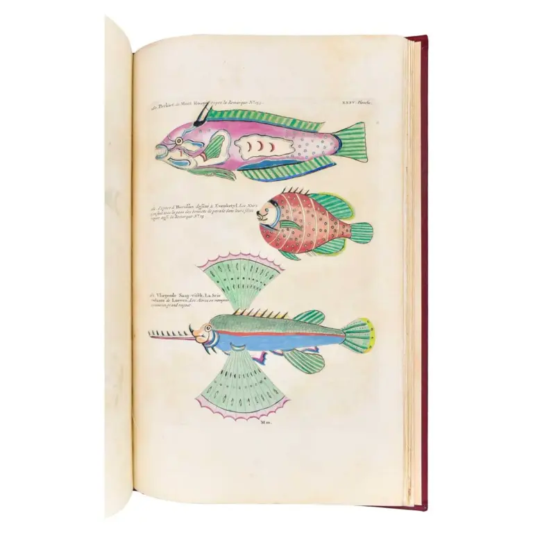 Poissons, Ecrevisses et Crabes de diverses couleurs et figures extraordinaires, que l’on trouve autour des Isles Moluques, et sur les côtes des Terres Australes