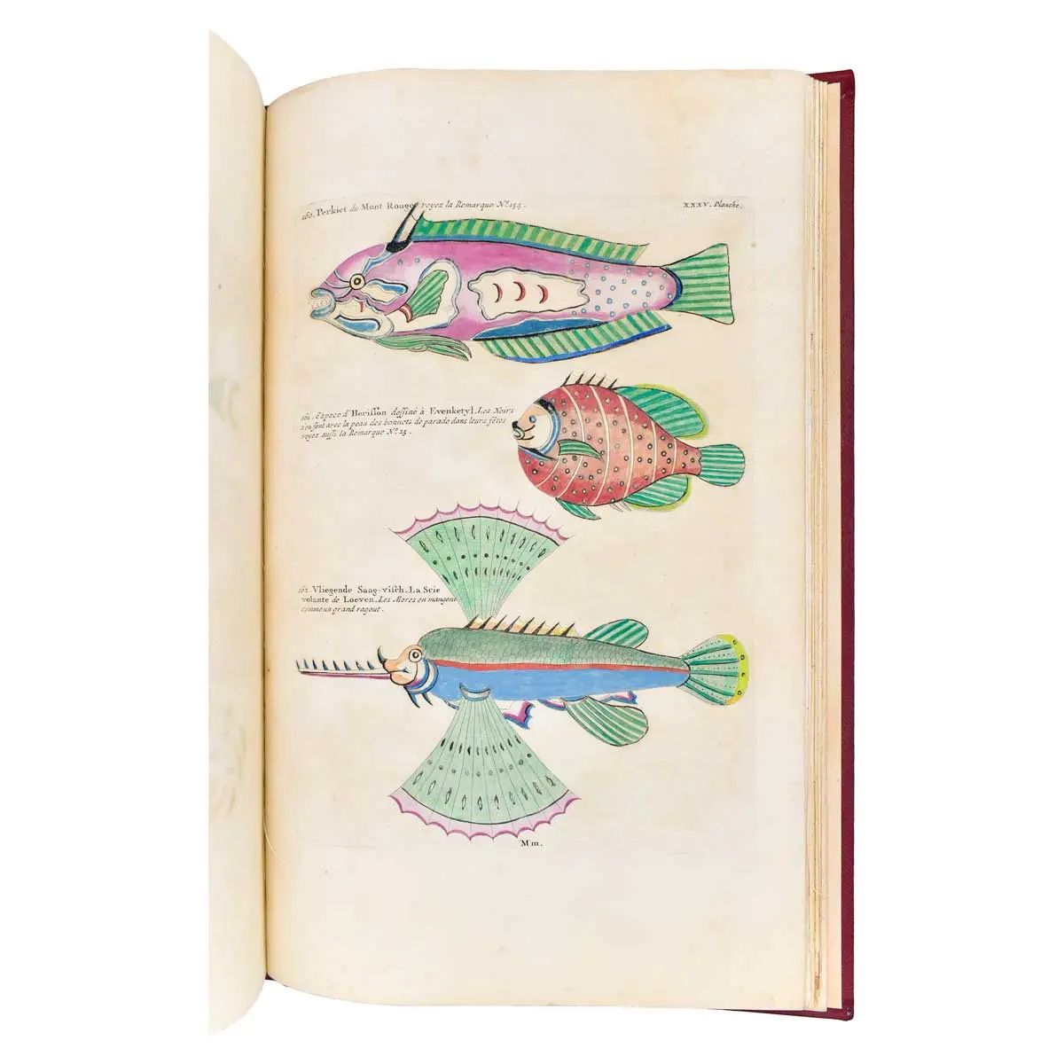 Poissons, Ecrevisses et Crabes de diverses couleurs et figures extraordinaires, que l'on trouve autour des Isles Moluques, et sur les côtes des Terres Australes