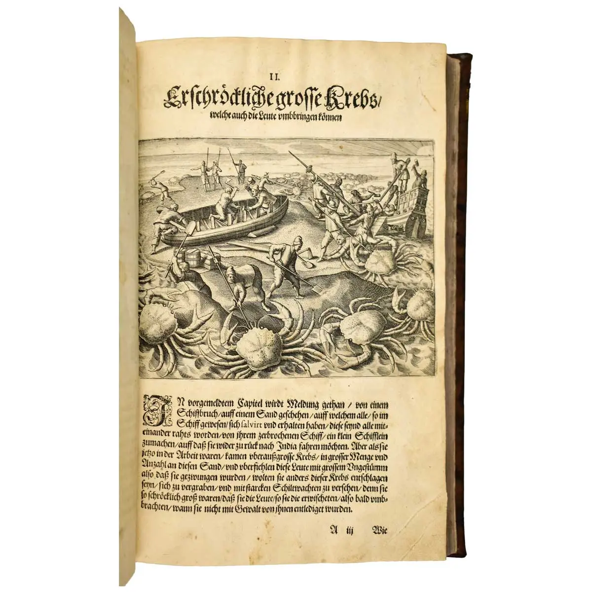 Orientalische Indien. Das ist, Auszführliche, und volkommene Historische, und Geographische Beschreibung Aller, und jeden Schifffahrten, und Reysen … (7)