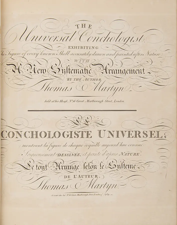 The Universal Conchologist exhibiting the Figure of every known Shell accurately drawn and painted after Nature: with A New Systematic Arrangement by the Author (3)