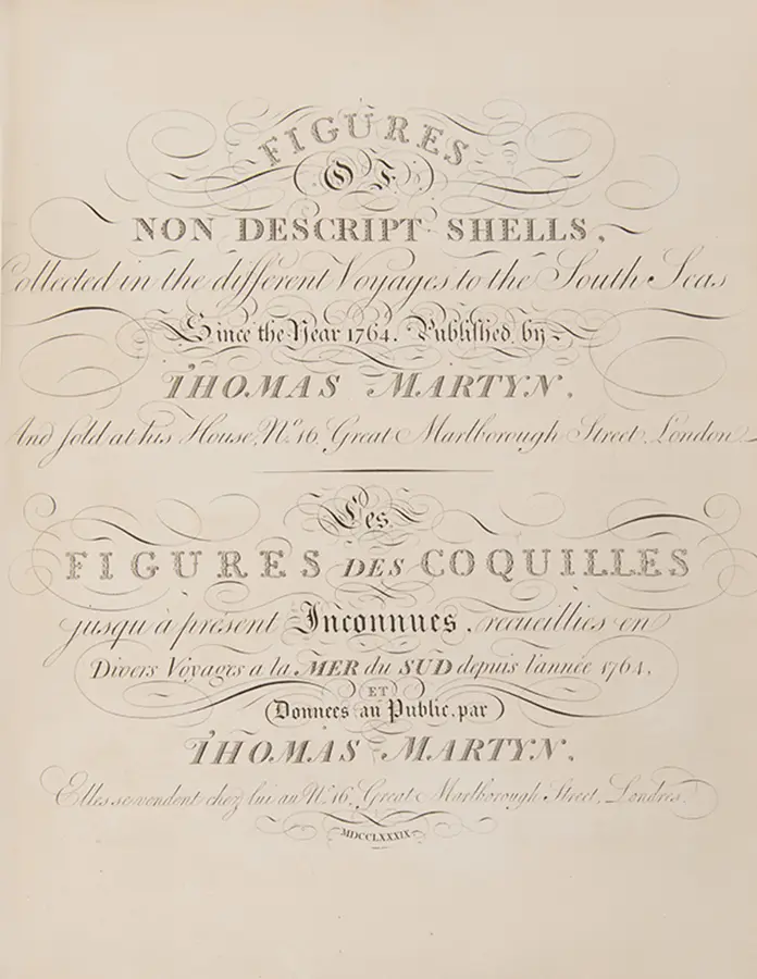 The Universal Conchologist exhibiting the Figure of every known Shell accurately drawn and painted after Nature: with A New Systematic Arrangement by the Author (5)