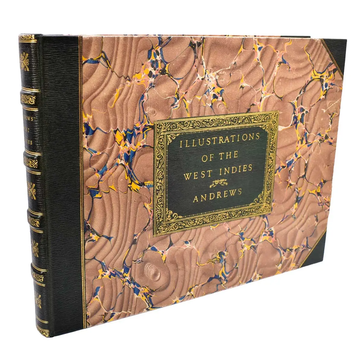 Andrews’ Illustrations of the West Indies (4)