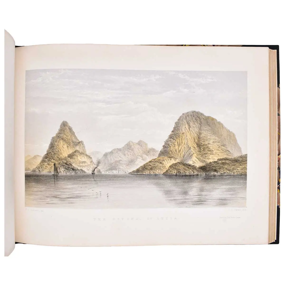 Andrews' Illustrations of the West Indies