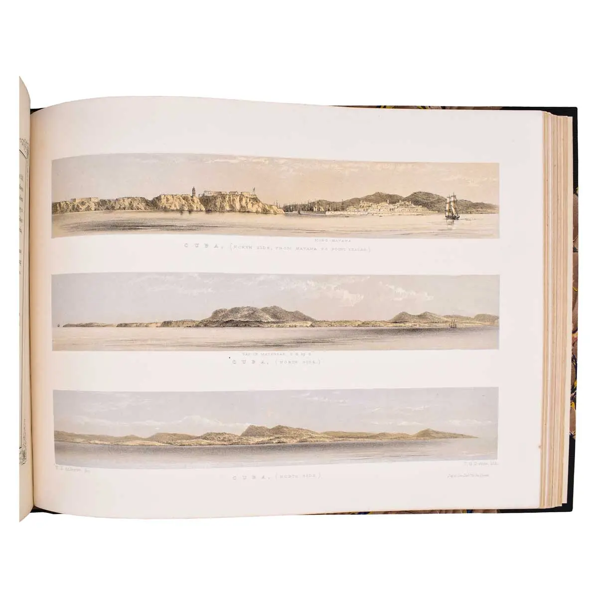 Andrews’ Illustrations of the West Indies (2)