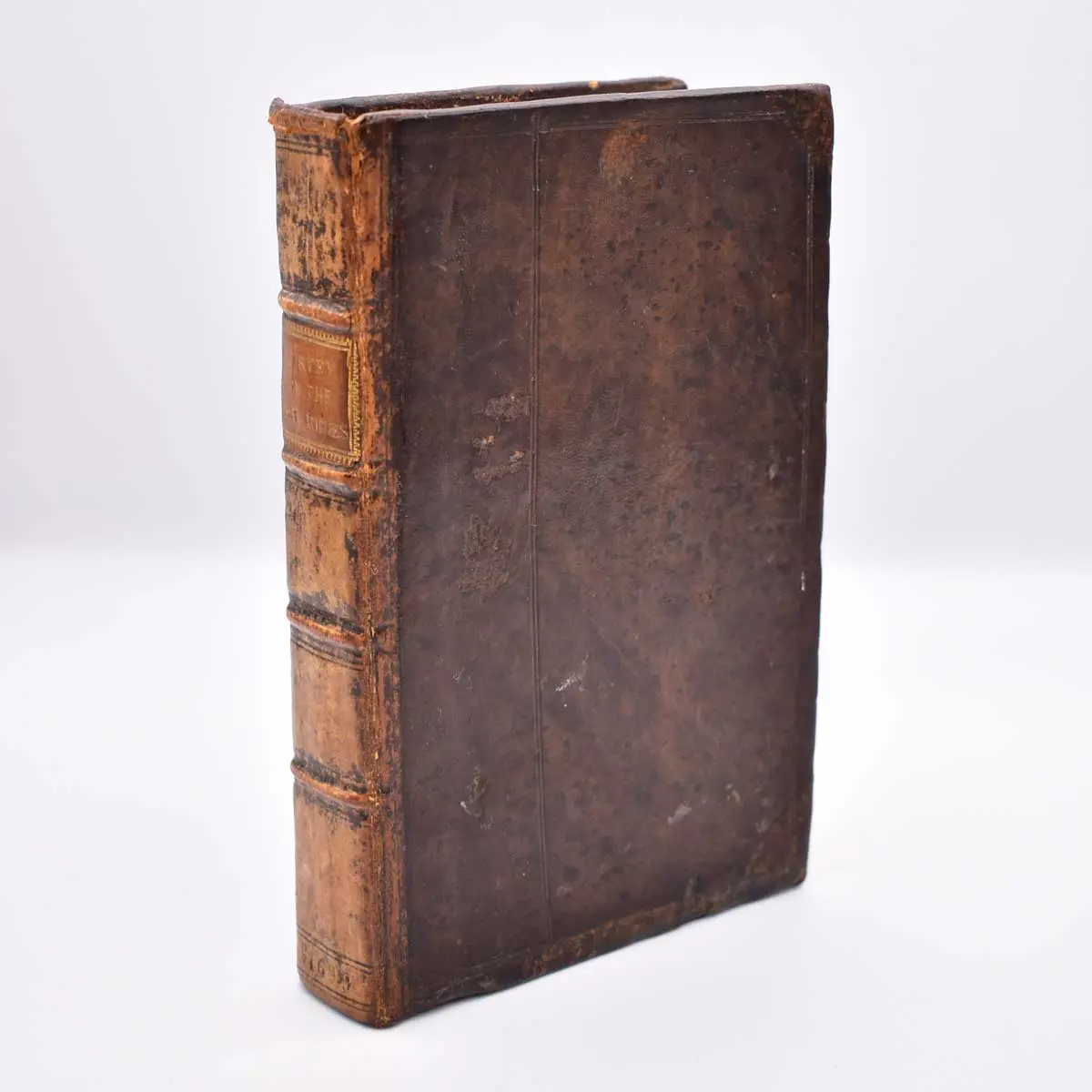 A New Survey of the West-Indies: Being A Journal of Three thousand and Three hundred Miles within the Main Land of America (3)