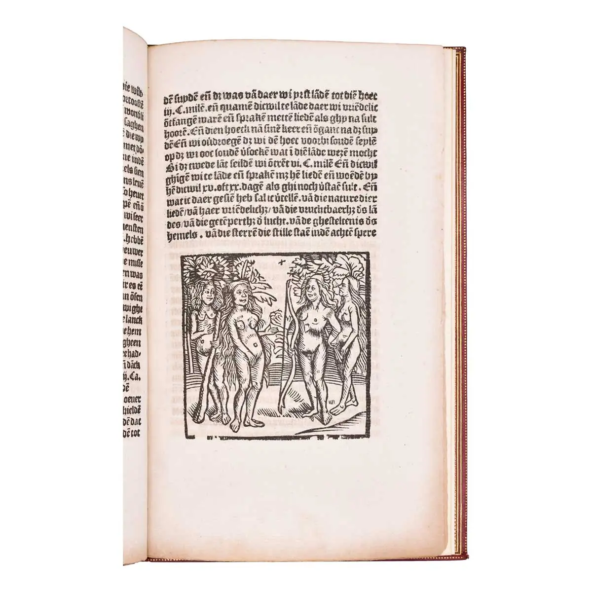 Fac-Simile of the “Dutch Vespucius” Being the Celebrated Letter of Americus Vespucius to Laurentius de Medicis. Describing his Third Voyage to America, in the Year 1501, for the King of Portugal (2)