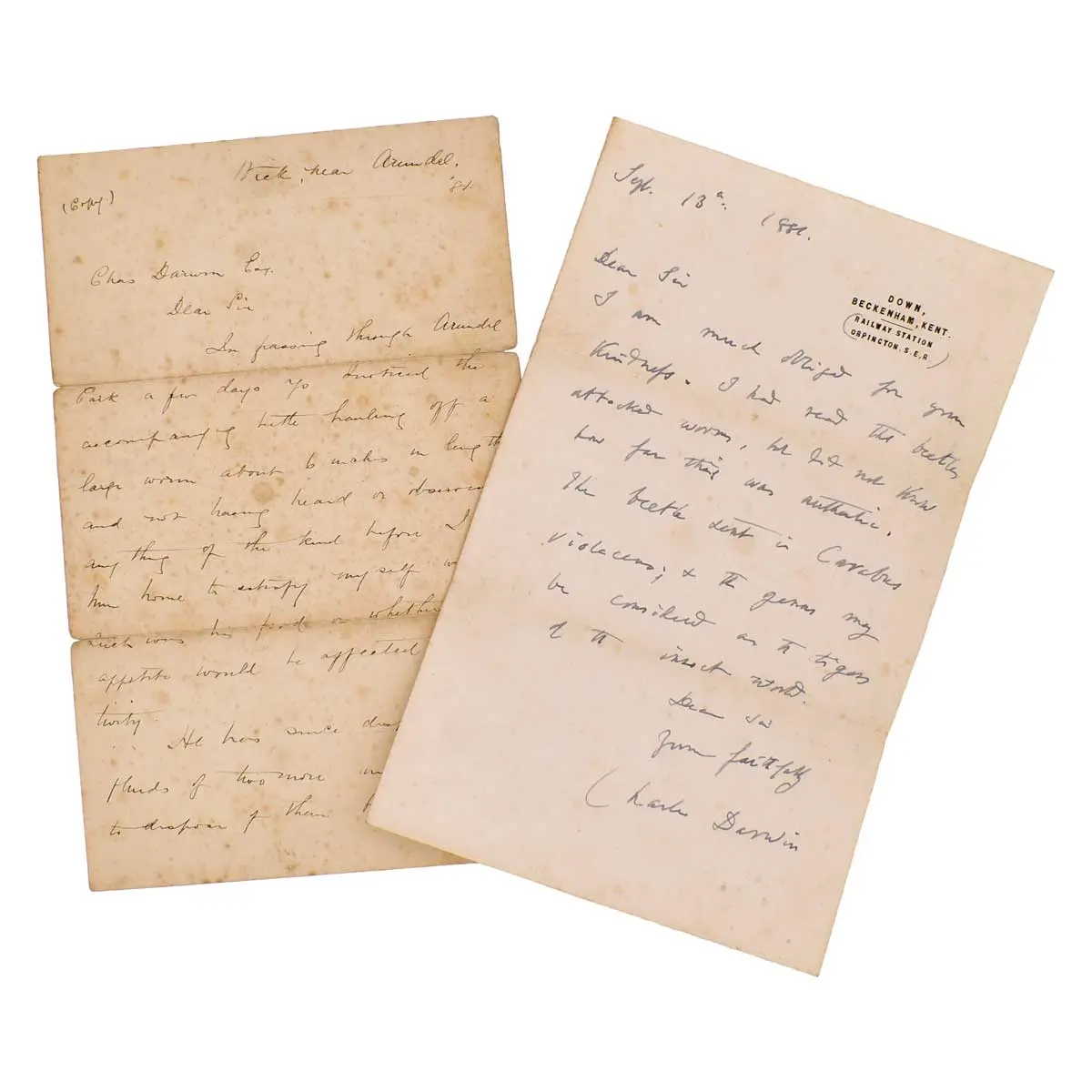 Important letter to Sir John Harmer on Carnivorous Beetles