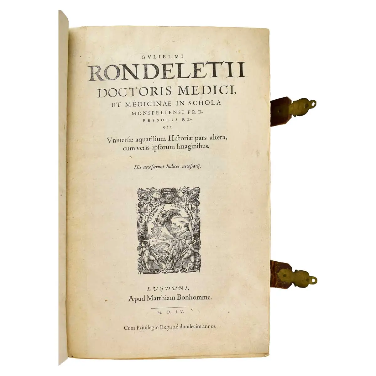Libri de piscibus marinis in quibus verae piscium effigies expressae sunt [including] Universae aquatilium historiae pars altera cum veris ipsorum imaginibus (2)