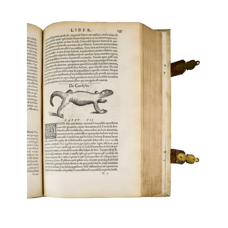 Libri de piscibus marinis in quibus verae piscium effigies expressae sunt [including] Universae aquatilium historiae pars altera cum veris ipsorum imaginibus.