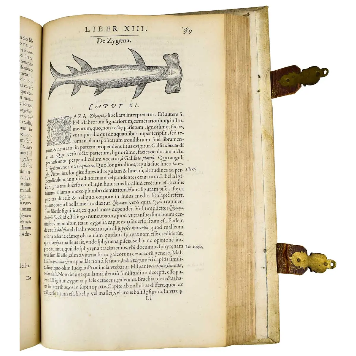 Libri de piscibus marinis in quibus verae piscium effigies expressae sunt [including] Universae aquatilium historiae pars altera cum veris ipsorum imaginibus (6)