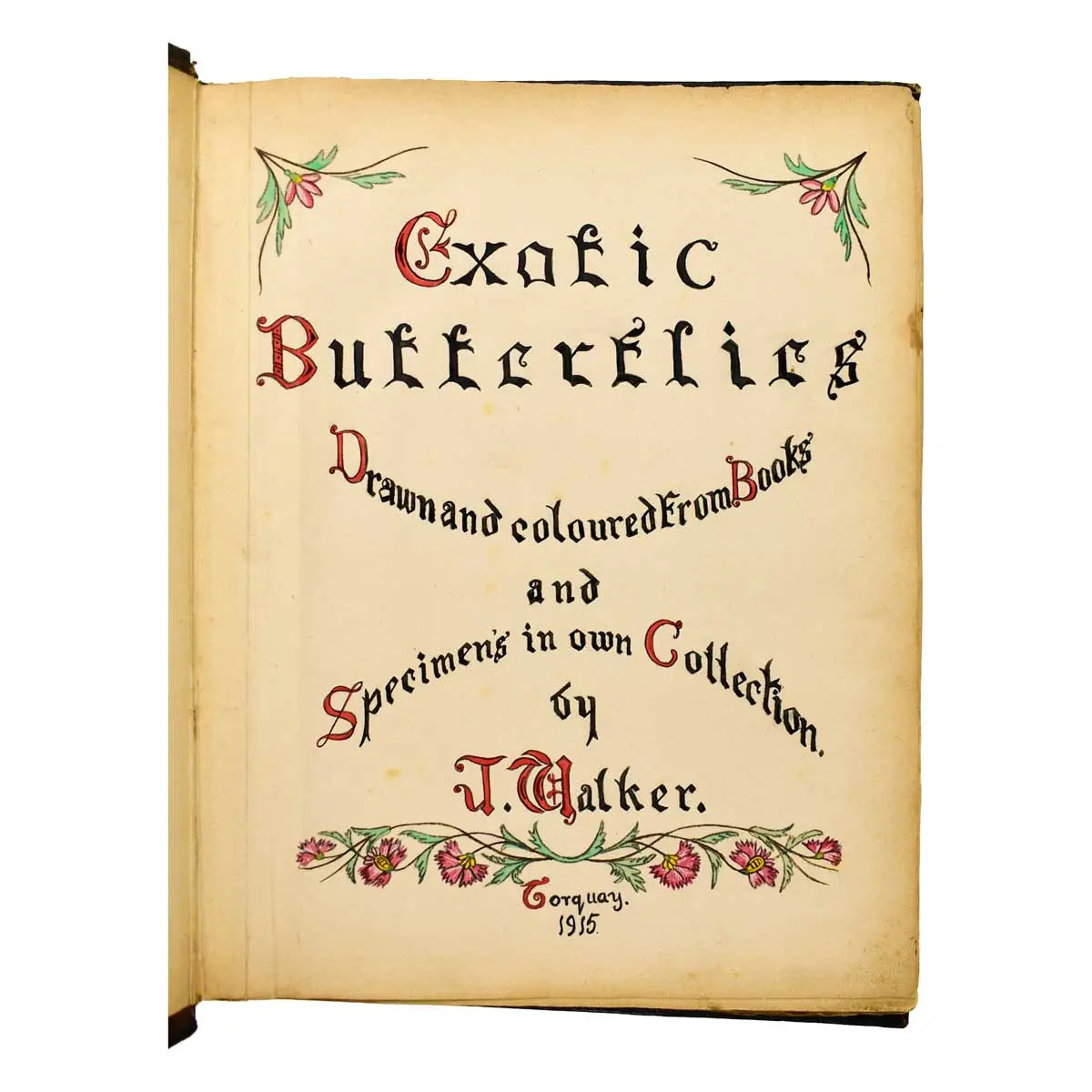 WATERCOLOUR ALBUM – Exotic Butterflies Drawn and Coloured from ….Specimens in own collection (2)