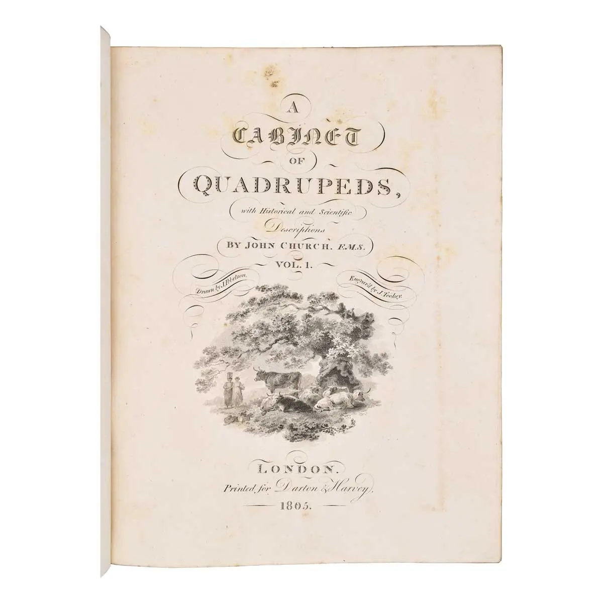 A Cabinet of Quadrupeds; Consisting of Highly-Finished Engravings, by James Tookey; from Drawings, by Julius Ibbetson; with Historical and Scientific Descriptions, by John Church.