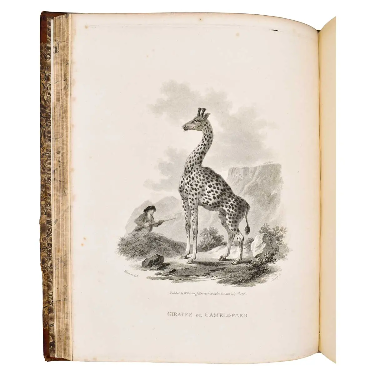 A Cabinet of Quadrupeds; Consisting of Highly-Finished Engravings, by James Tookey; from Drawings, by Julius Ibbetson; with Historical and Scientific Descriptions, by John Church (3)