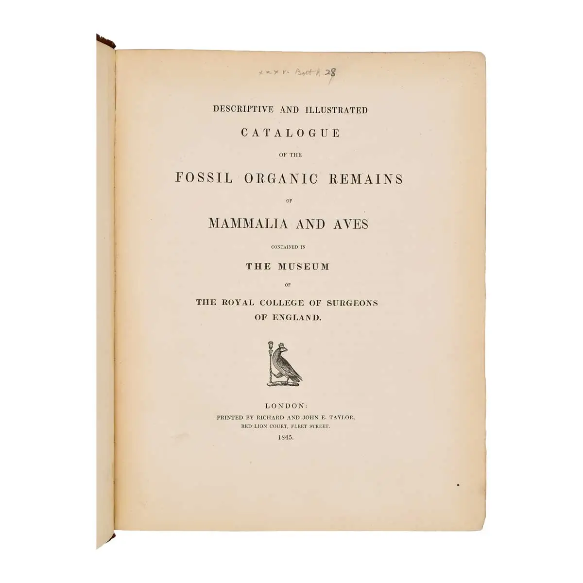 Descriptive and Illustrated Catalogue of the Fossil Organic Remains of Mammalia and Aves contained in the Museum of the Royal College of Surgeons of England (2)