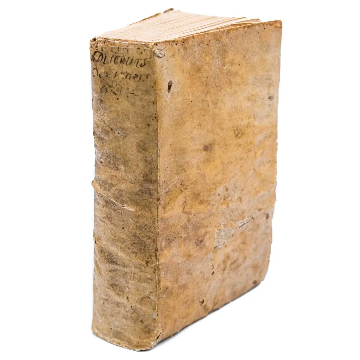Discours des Sorciers, avec six advis en faict de Sorcellerie. Et une instruction pour un juge en semblable matière. Par Henry Boguet Dolanois, grand Juge en la terre S. Oyan de Ioux (3)
