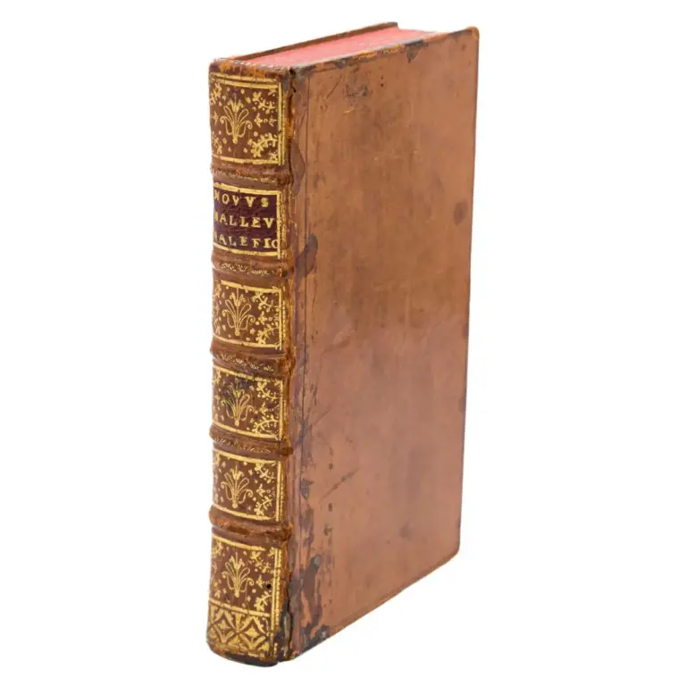 Novus malleus maleficarum sub quaestione de strigibus seu maleficis, r. P. F. Bartholomaei spinei, ord. Praed. Theologiae profess. Sacrique palatii apostolici magistri dignissimi.