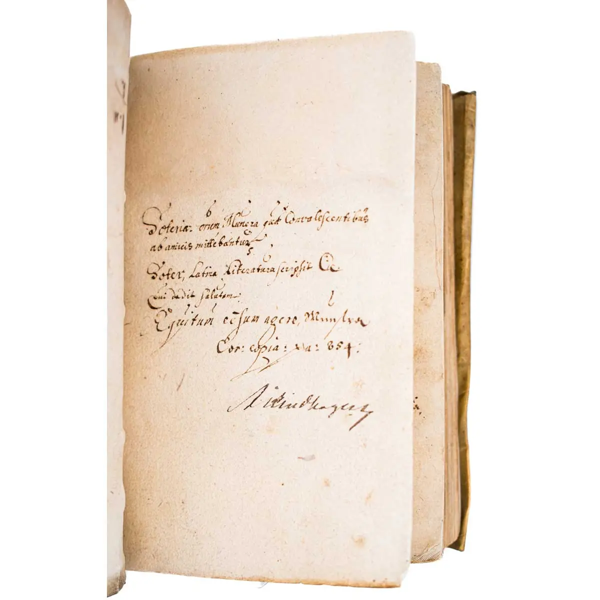 De Praestigiis Daemonum, Et Incantationibus ac ueneficiis, libri V. recogniti, & ualde aucti. Authore Ioanne Vviero Graviano, illustrißimi ducis Cliuiae, Iuliae, &c. medico (2)