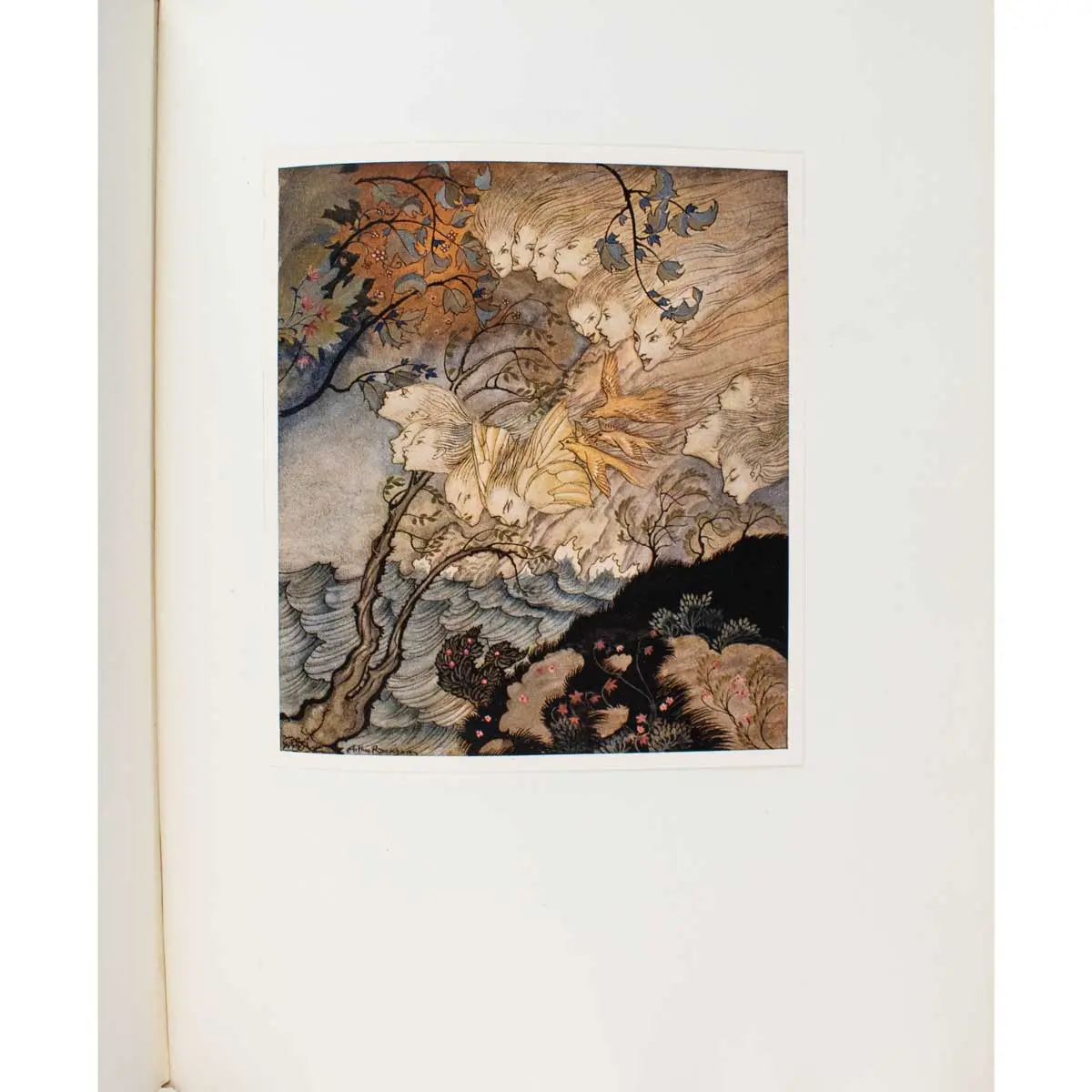 The Tempest (6)