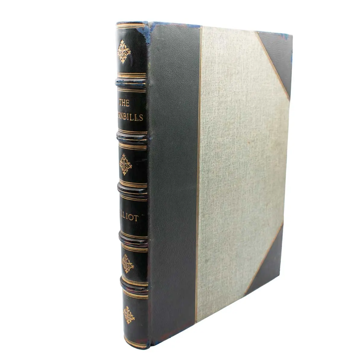 A Monograph of the Bucerotidae, or Family of the Hornbills (6)