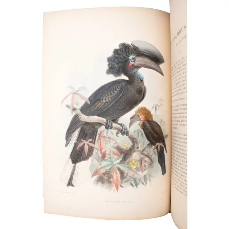 A Monograph of the Bucerotidae, or Family of the Hornbills.
