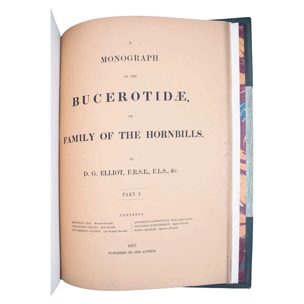 A Monograph of the Bucerotidae, or Family of the Hornbills (4)