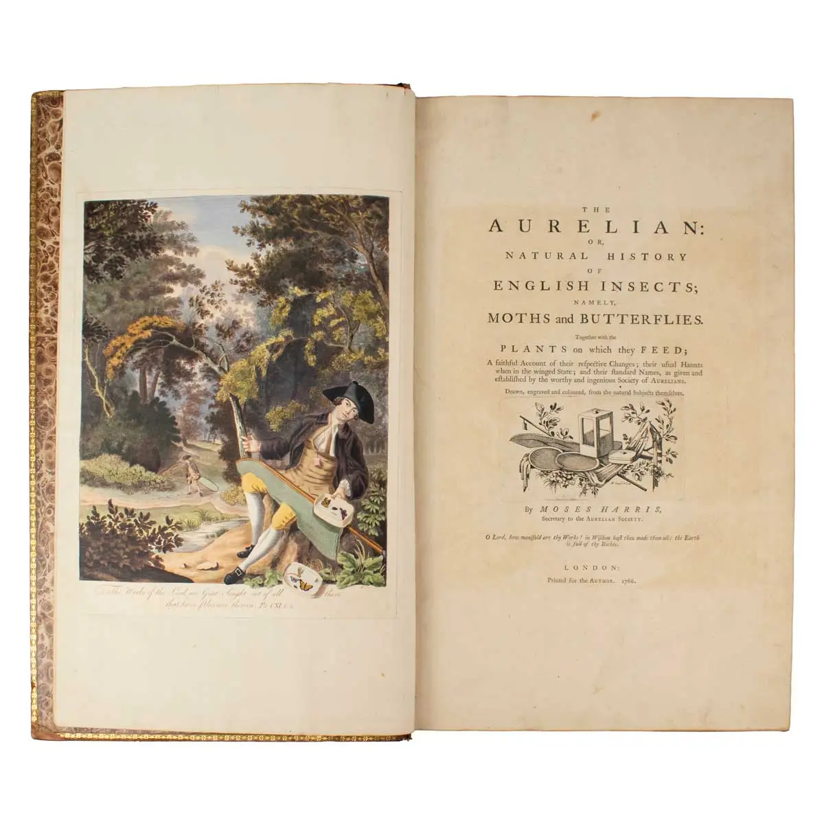 The Aurelian :or natural History of English Insects ; namely, Moths and Butterflies (2)