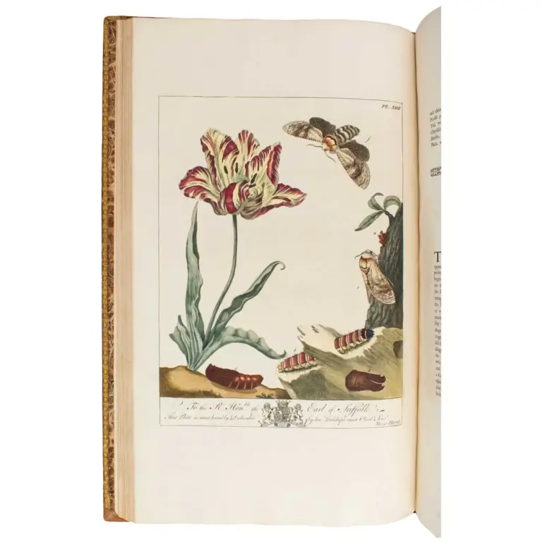The Aurelian :or natural History of English Insects ; namely, Moths and Butterflies.