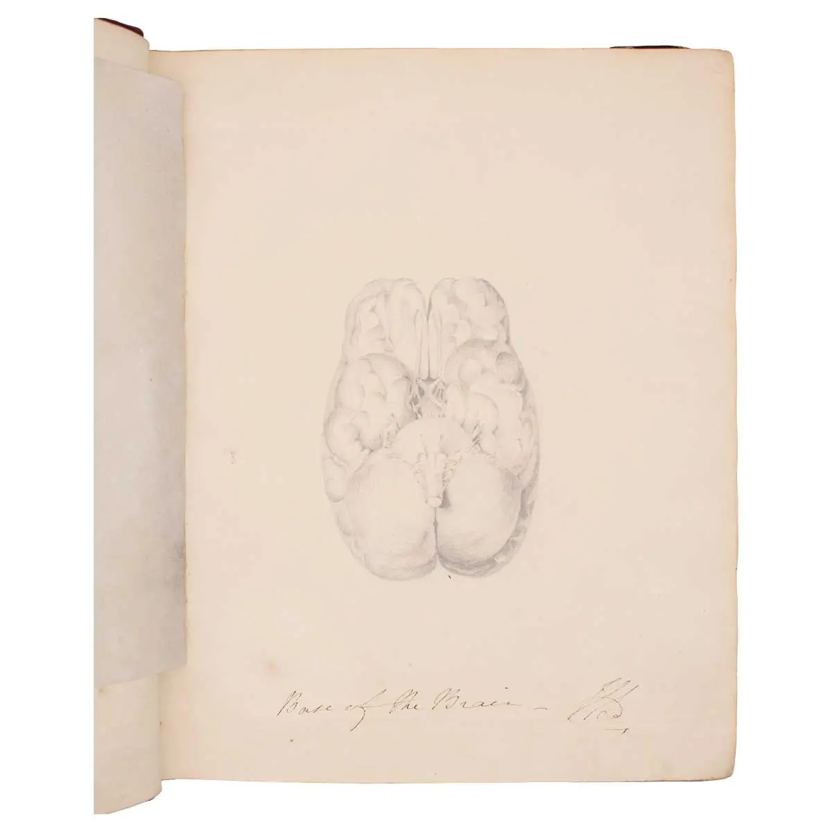 Illustrated Manuscript Notebook of J. Longden, Surgeon on East Indiaman Protector, 1837-8 (8)