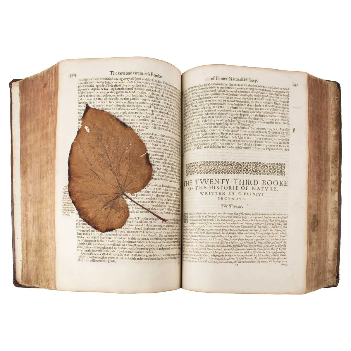The Historie of the World: Commonly Called the Naturall Historie of C. Plinius Secundus. Translated into English by Philemon Holland, Doctor of Physicke (3)